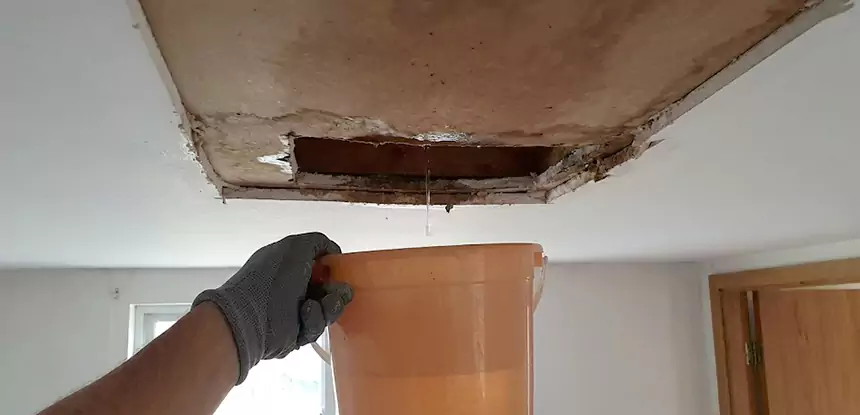 Ceiling Mold Repair Peachtree Corners