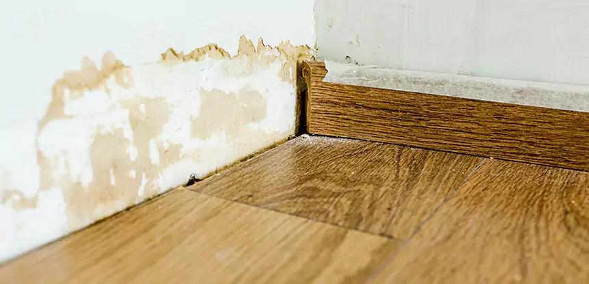 Professional Fix Water Damaged Wood Services in Peachtree Corners, GA